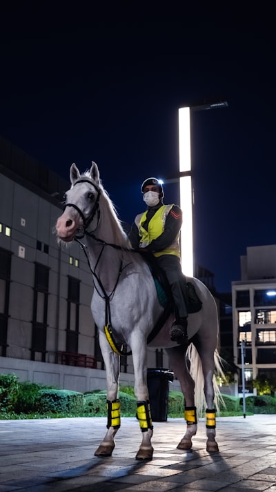 ترتيب الدوري المغربي الدرجة الثانية 2023تحليل شامل للموسم الكروي