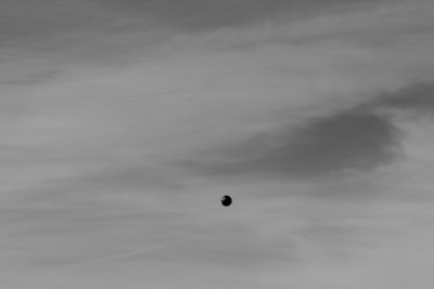 مباراة برشلونة القادمةكل ما تحتاج إلى معرفته عن المواجهة المرتقبة